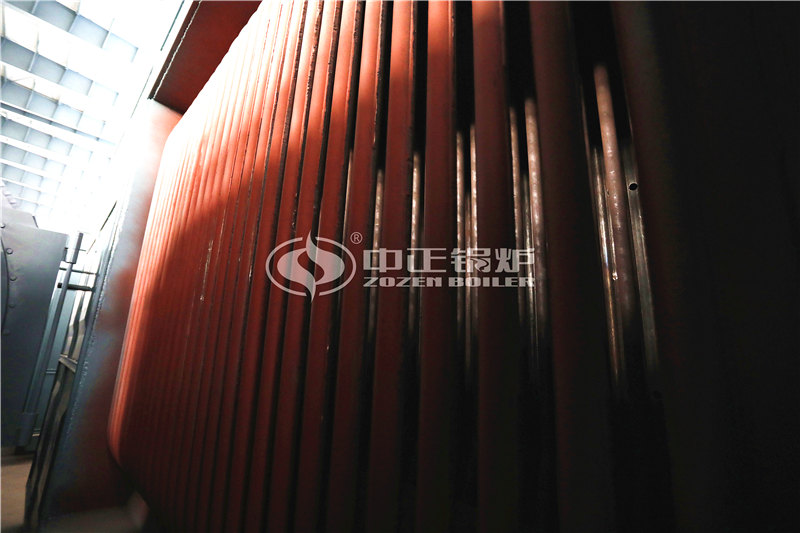 80萬大卡燃生物質導熱油爐大廠