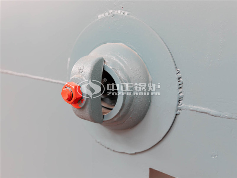 8噸燃生物質(zhì)導熱油爐企業(yè)